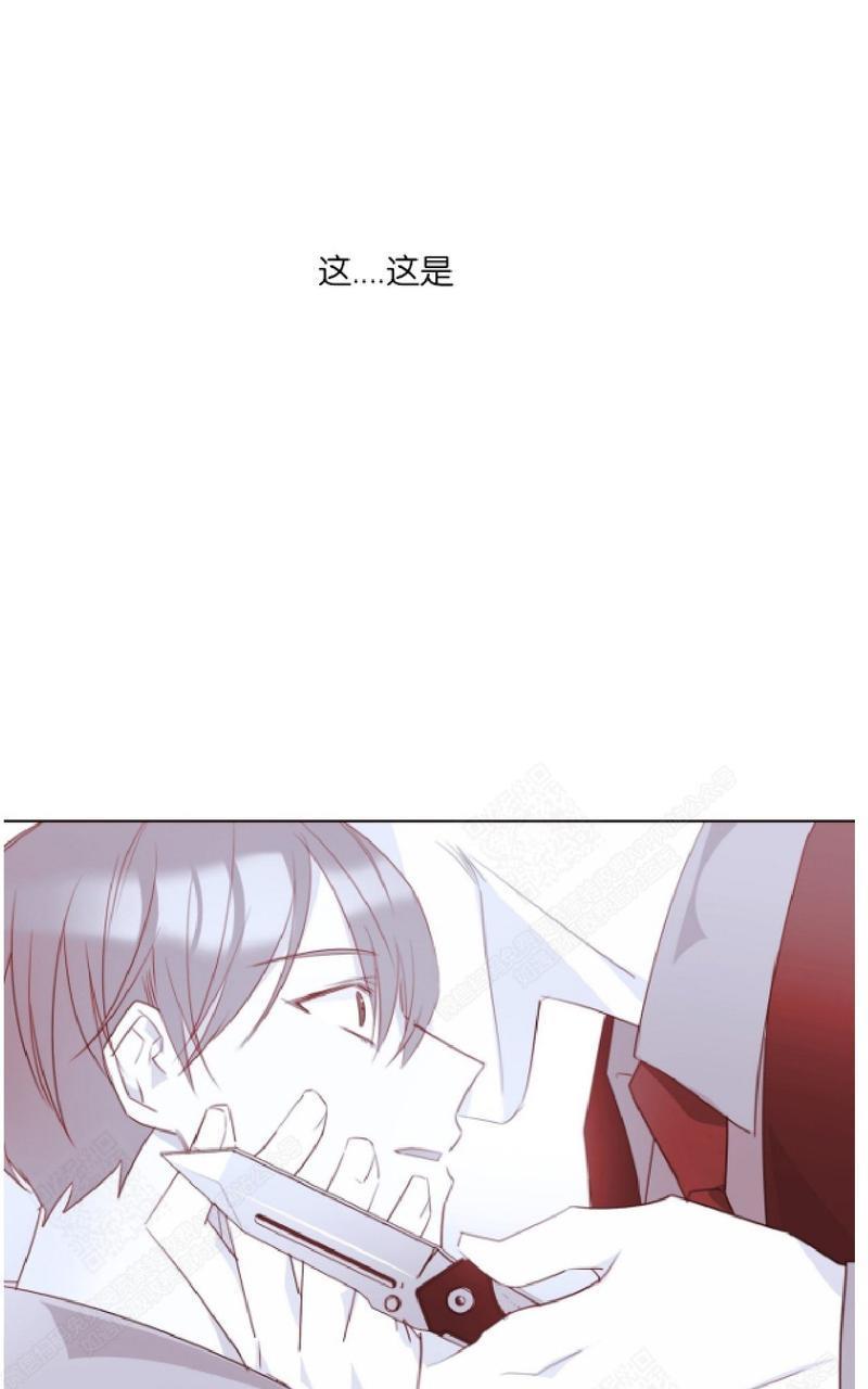 危险合作/Mayday/五月交易[耽美]韩漫全集-第20话无删减无遮挡章节图片 
