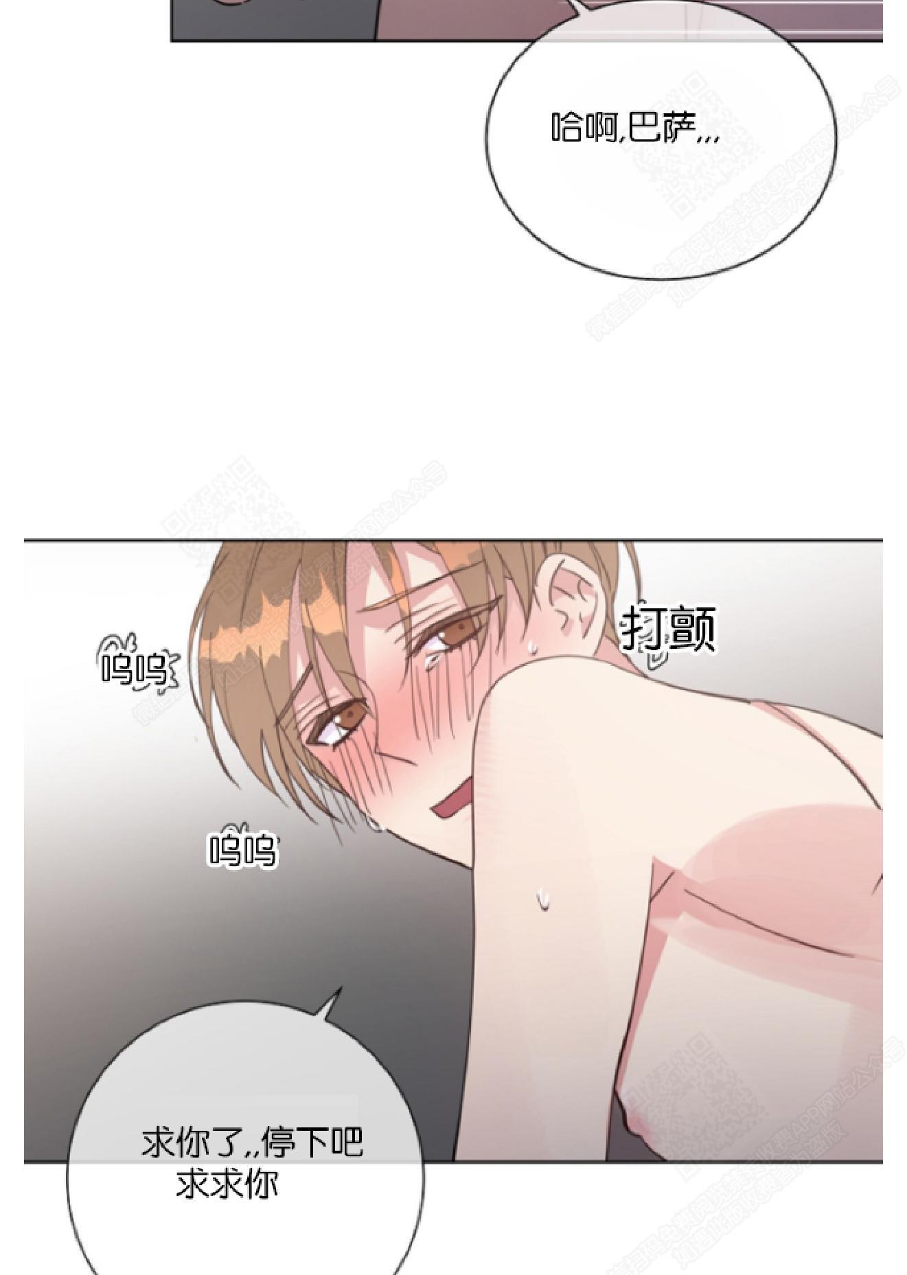 危险合作/Mayday/五月交易[耽美]韩漫全集-第22话无删减无遮挡章节图片 