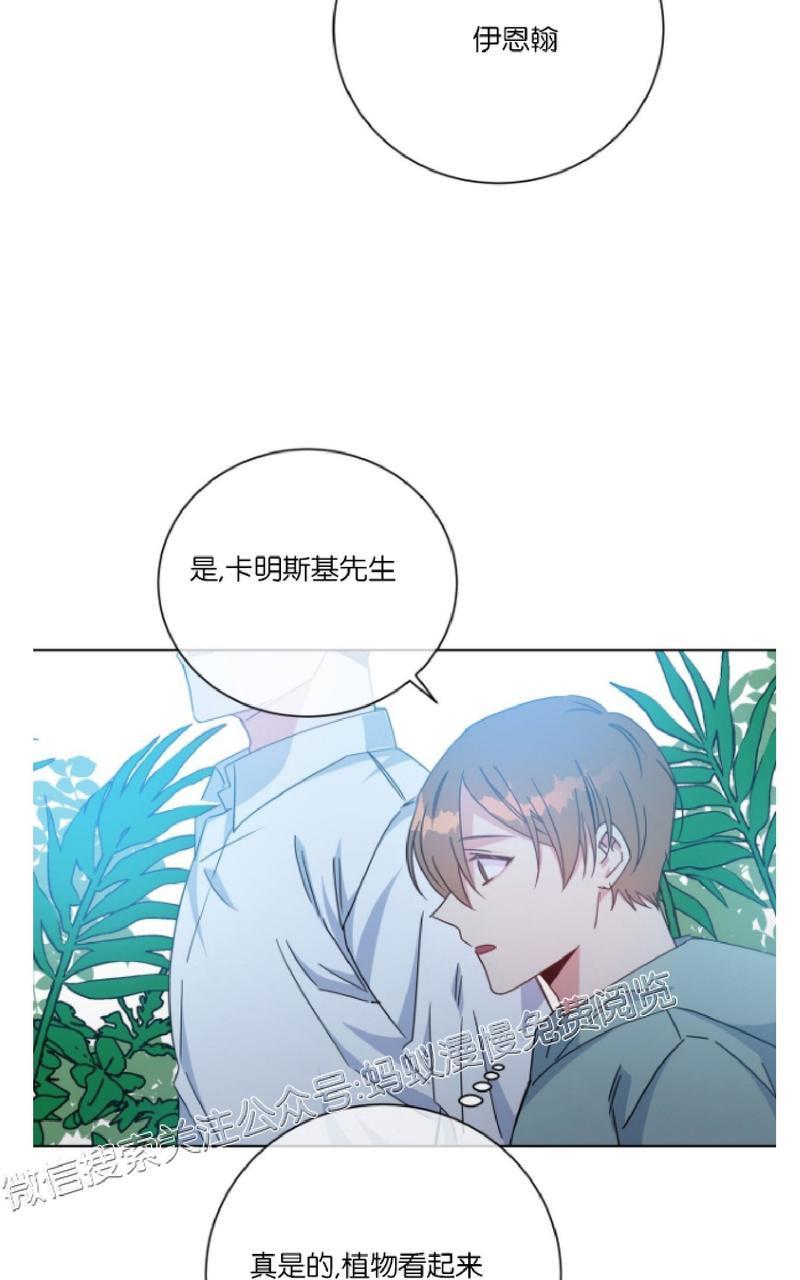 危险合作/Mayday/五月交易[耽美]韩漫全集-第28话无删减无遮挡章节图片 
