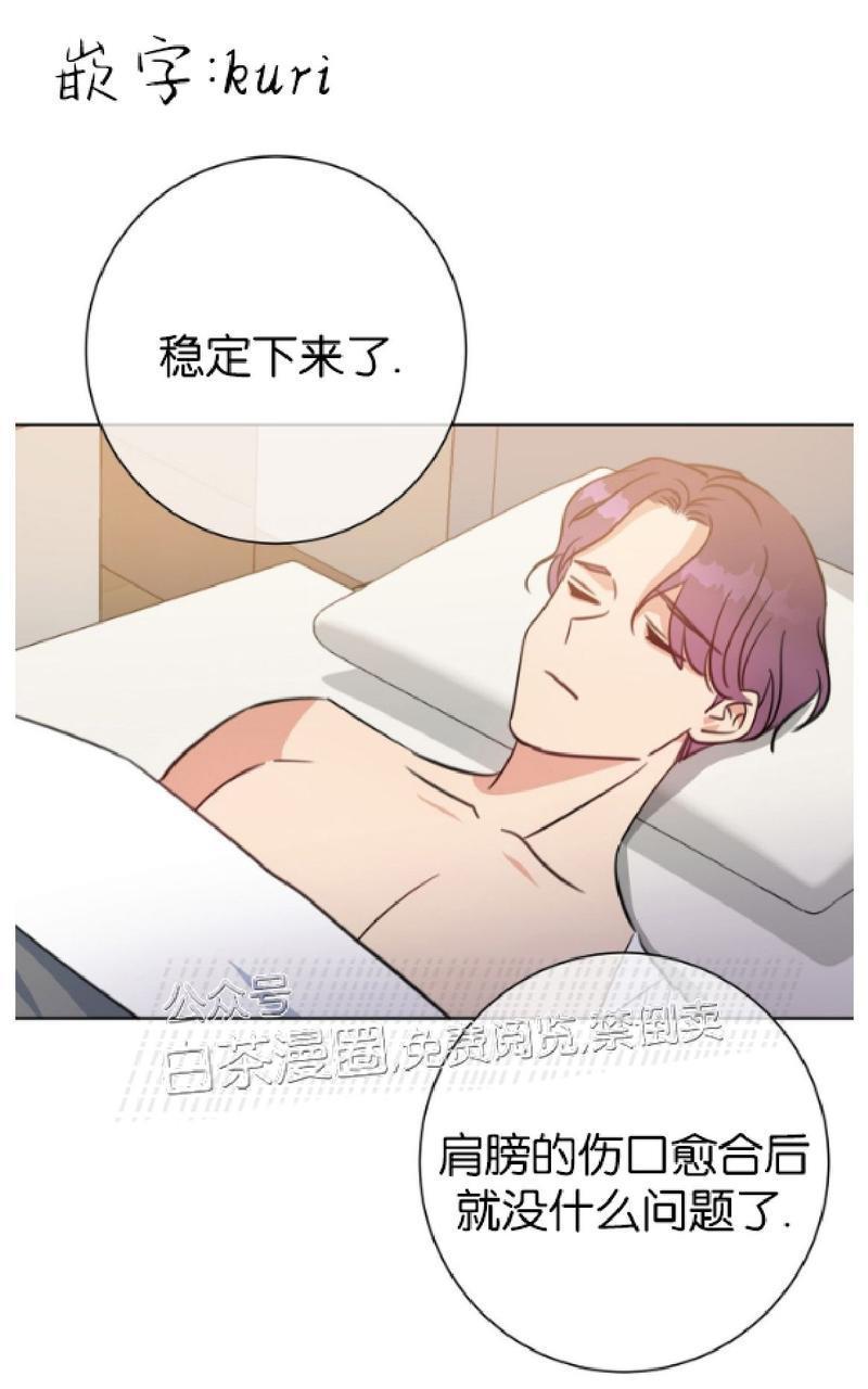 危险合作/Mayday/五月交易[耽美]韩漫全集-第41话无删减无遮挡章节图片 