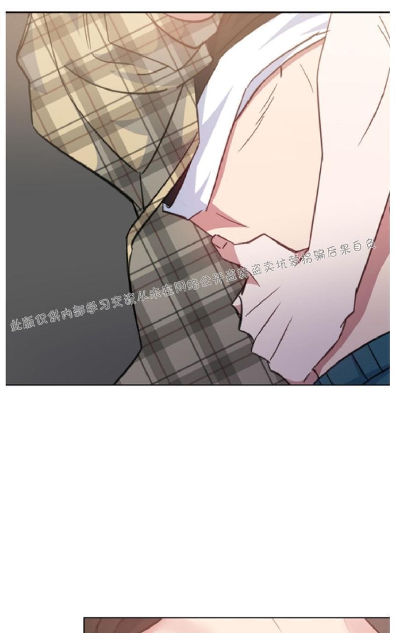 危险合作/Mayday/五月交易[耽美]韩漫全集-第42话无删减无遮挡章节图片 