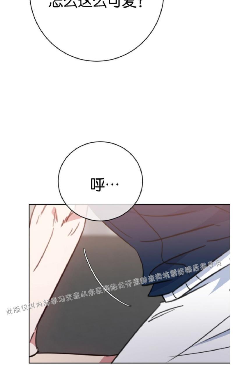 危险合作/Mayday/五月交易[耽美]韩漫全集-第42话无删减无遮挡章节图片 