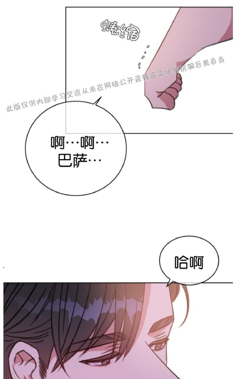 危险合作/Mayday/五月交易[耽美]韩漫全集-第42话无删减无遮挡章节图片 