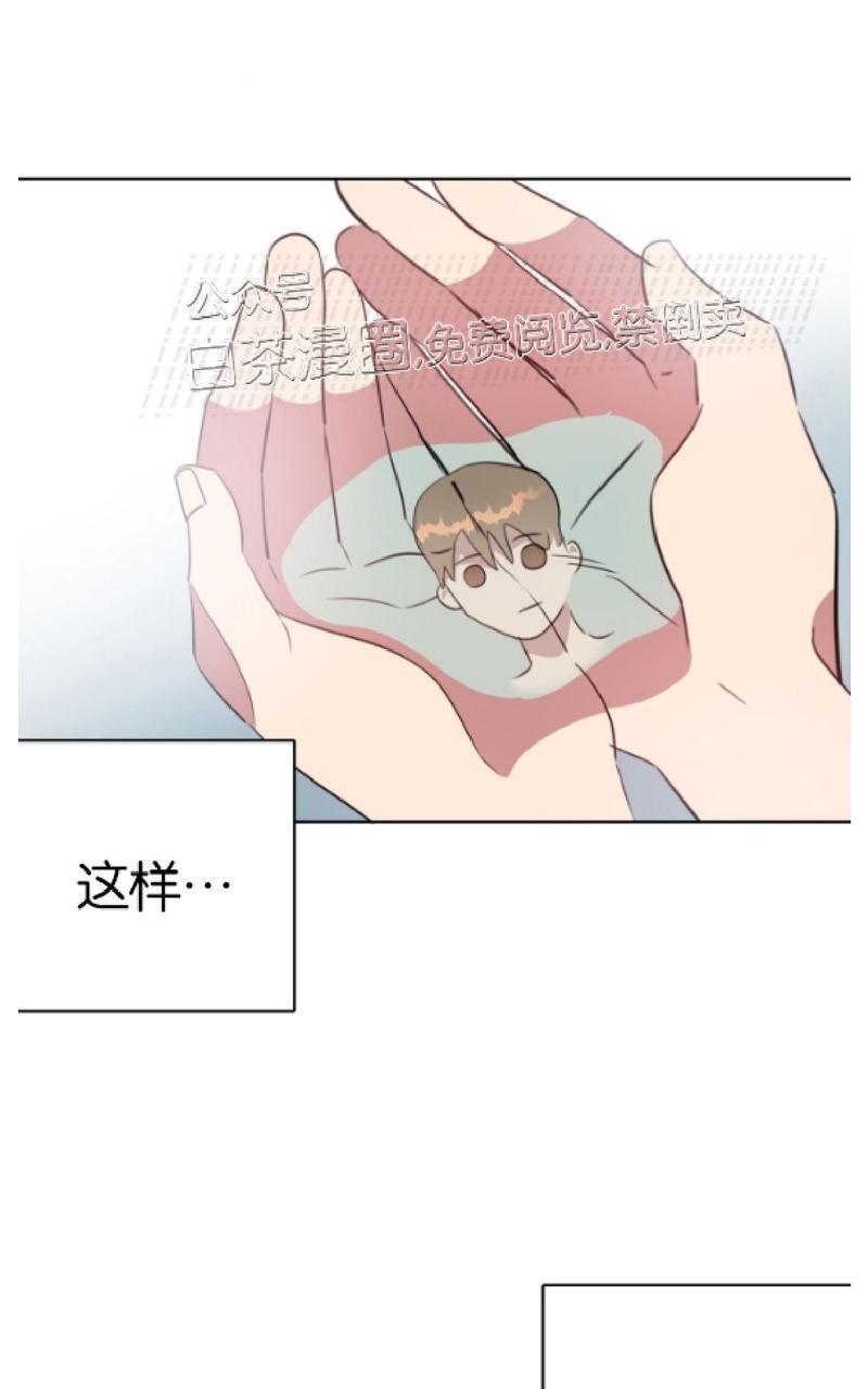 危险合作/Mayday/五月交易[耽美]韩漫全集-第43话无删减无遮挡章节图片 