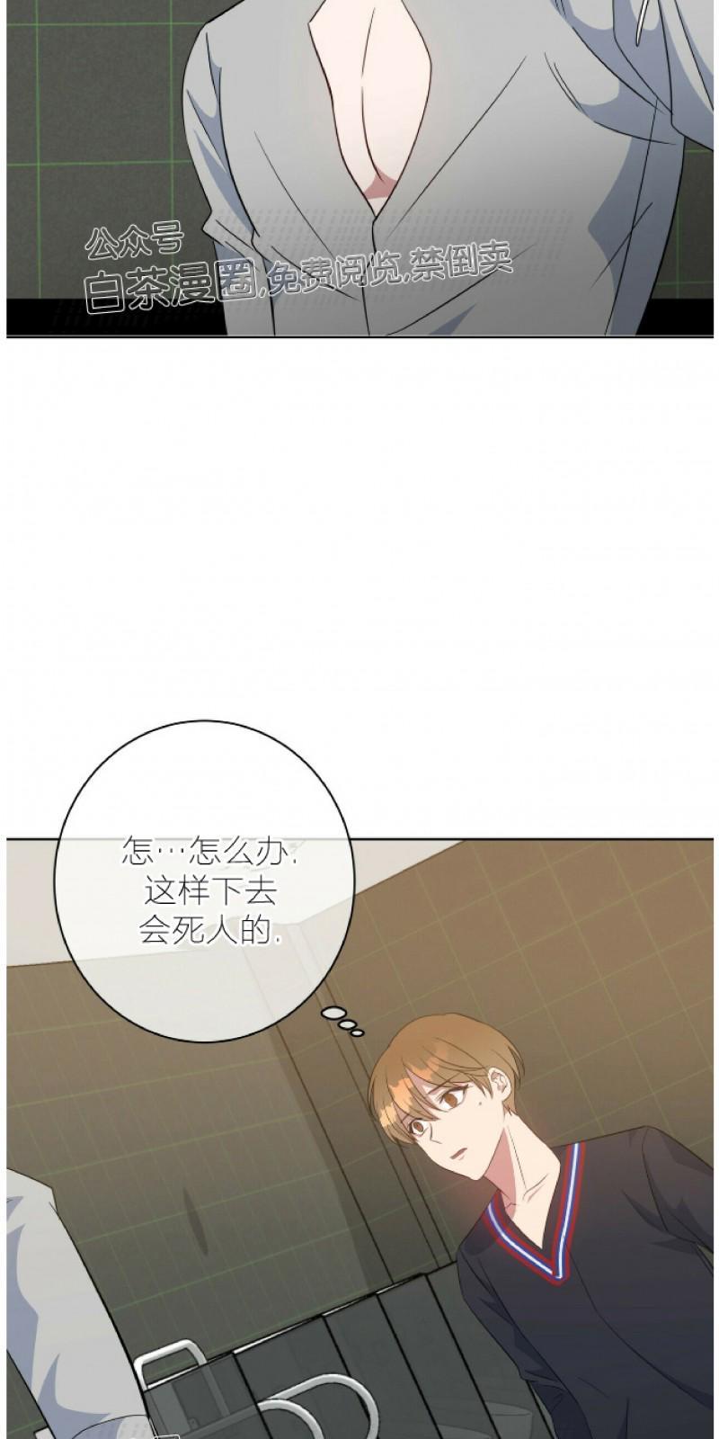 危险合作/Mayday/五月交易[耽美]韩漫全集-第49话无删减无遮挡章节图片 