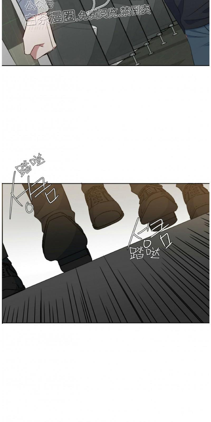 危险合作/Mayday/五月交易[耽美]韩漫全集-第49话无删减无遮挡章节图片 