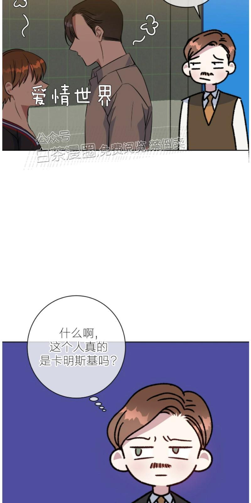 危险合作/Mayday/五月交易[耽美]韩漫全集-第49话无删减无遮挡章节图片 