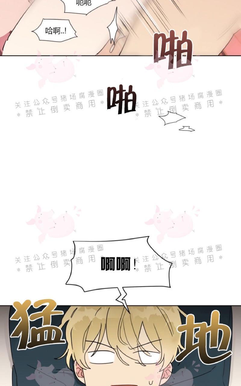 纯情禁止令[耽美]韩漫全集-第3话无删减无遮挡章节图片 