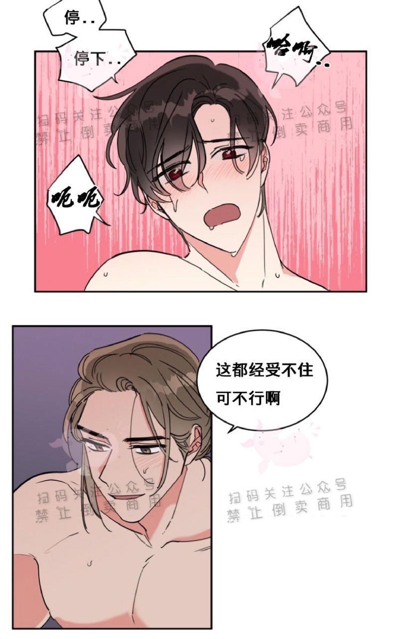 纯情禁止令[耽美]韩漫全集-第11话无删减无遮挡章节图片 