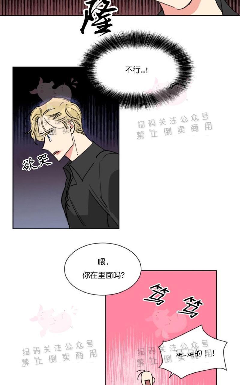 纯情禁止令[耽美]韩漫全集-第12话无删减无遮挡章节图片 