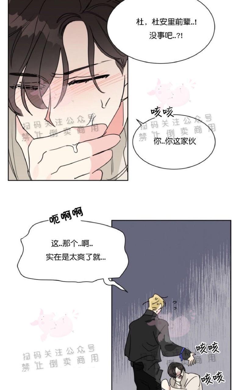 纯情禁止令[耽美]韩漫全集-第12话无删减无遮挡章节图片 