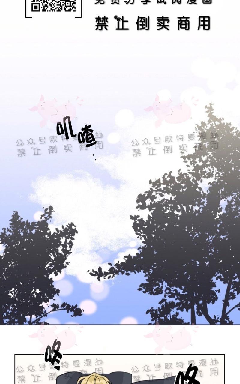 纯情禁止令[耽美]韩漫全集-第19话无删减无遮挡章节图片 