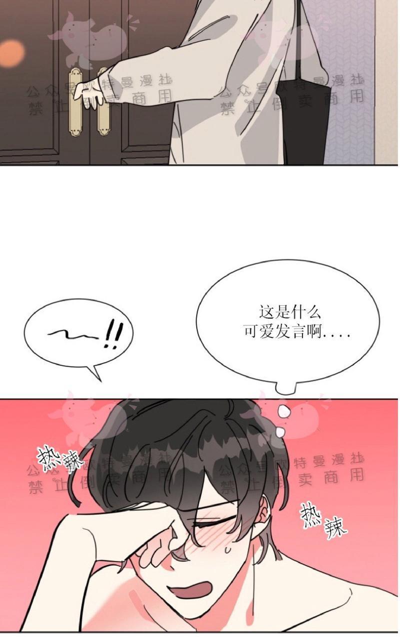纯情禁止令[耽美]韩漫全集-第19话无删减无遮挡章节图片 