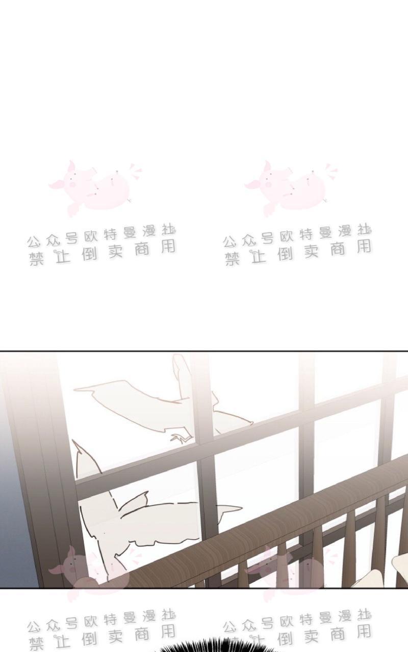 纯情禁止令[耽美]韩漫全集-第22话无删减无遮挡章节图片 