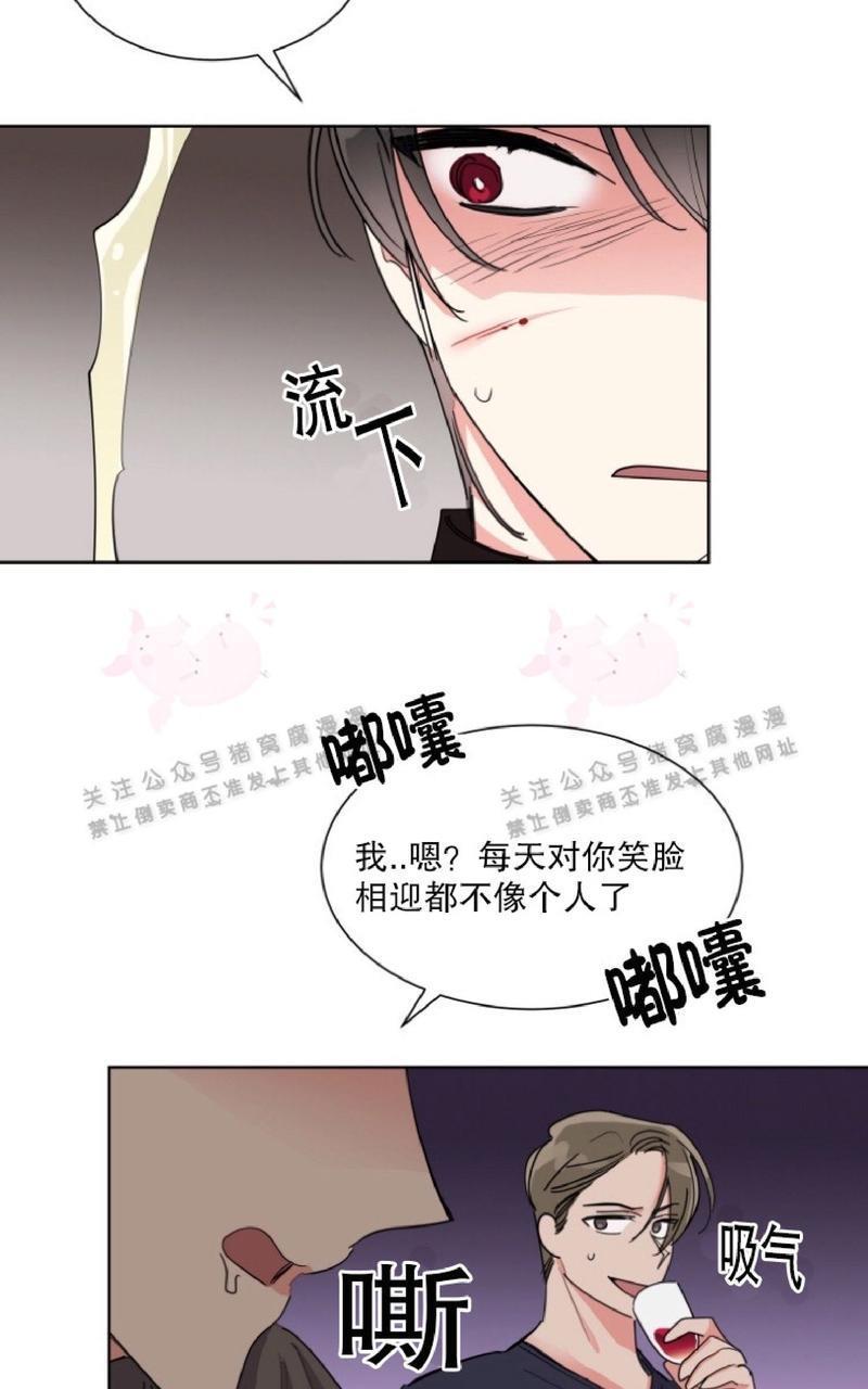 纯情禁止令[耽美]韩漫全集-第25话无删减无遮挡章节图片 