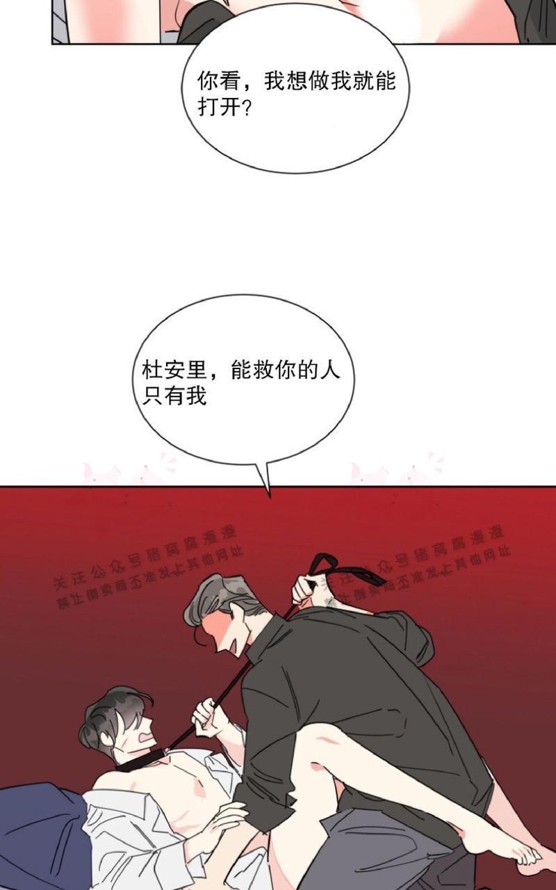 纯情禁止令[耽美]韩漫全集-第25话无删减无遮挡章节图片 