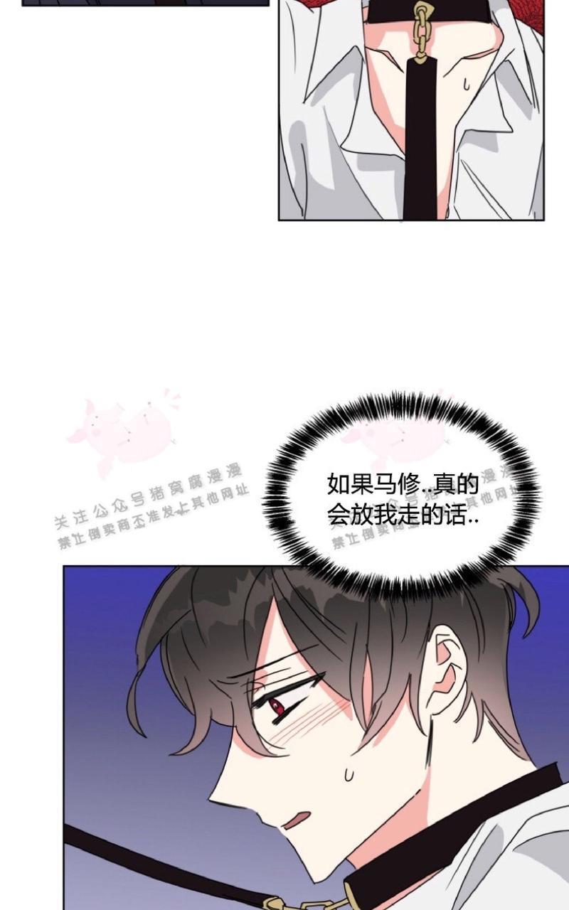 纯情禁止令[耽美]韩漫全集-第26话无删减无遮挡章节图片 