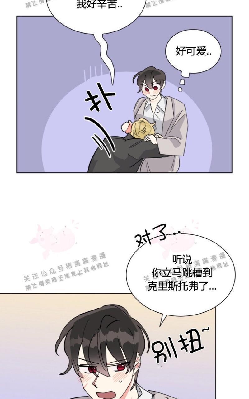 纯情禁止令[耽美]韩漫全集-第27话无删减无遮挡章节图片 