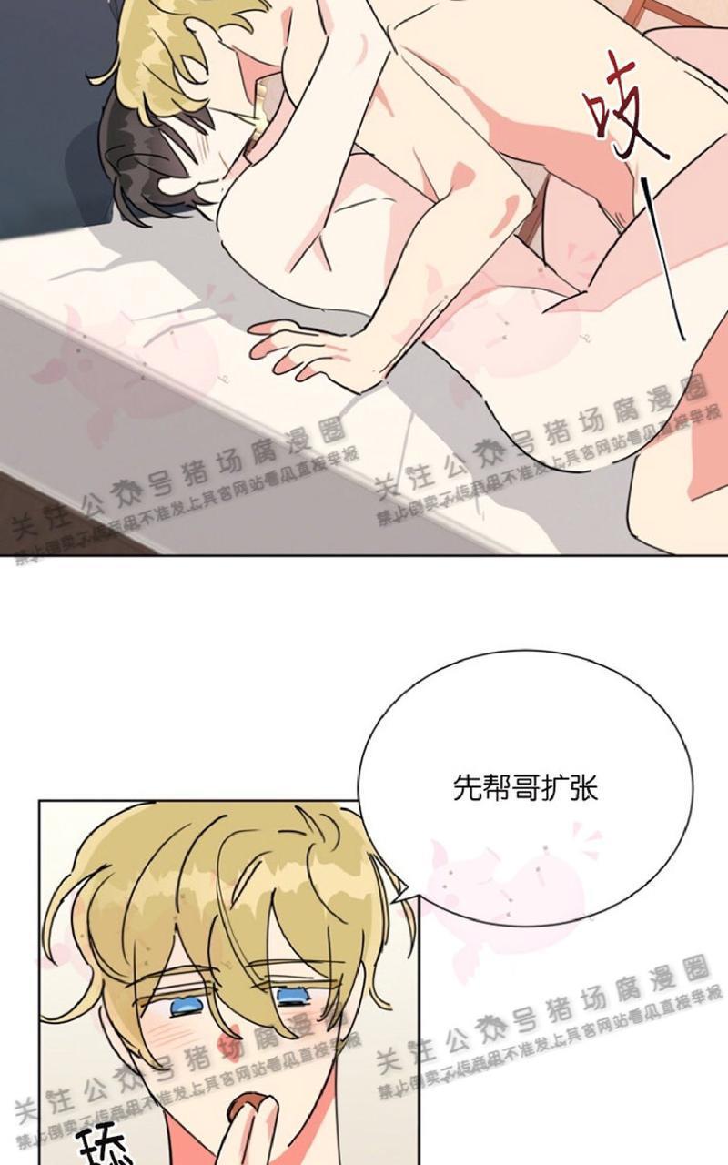 纯情禁止令[耽美]韩漫全集-第28话无删减无遮挡章节图片 