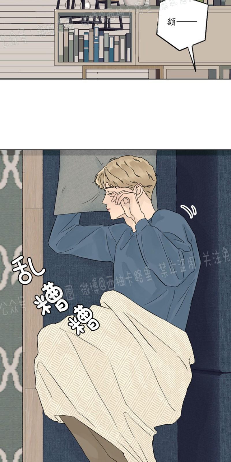 温度与恋爱的关系[耽美]韩漫全集-第9话无删减无遮挡章节图片 