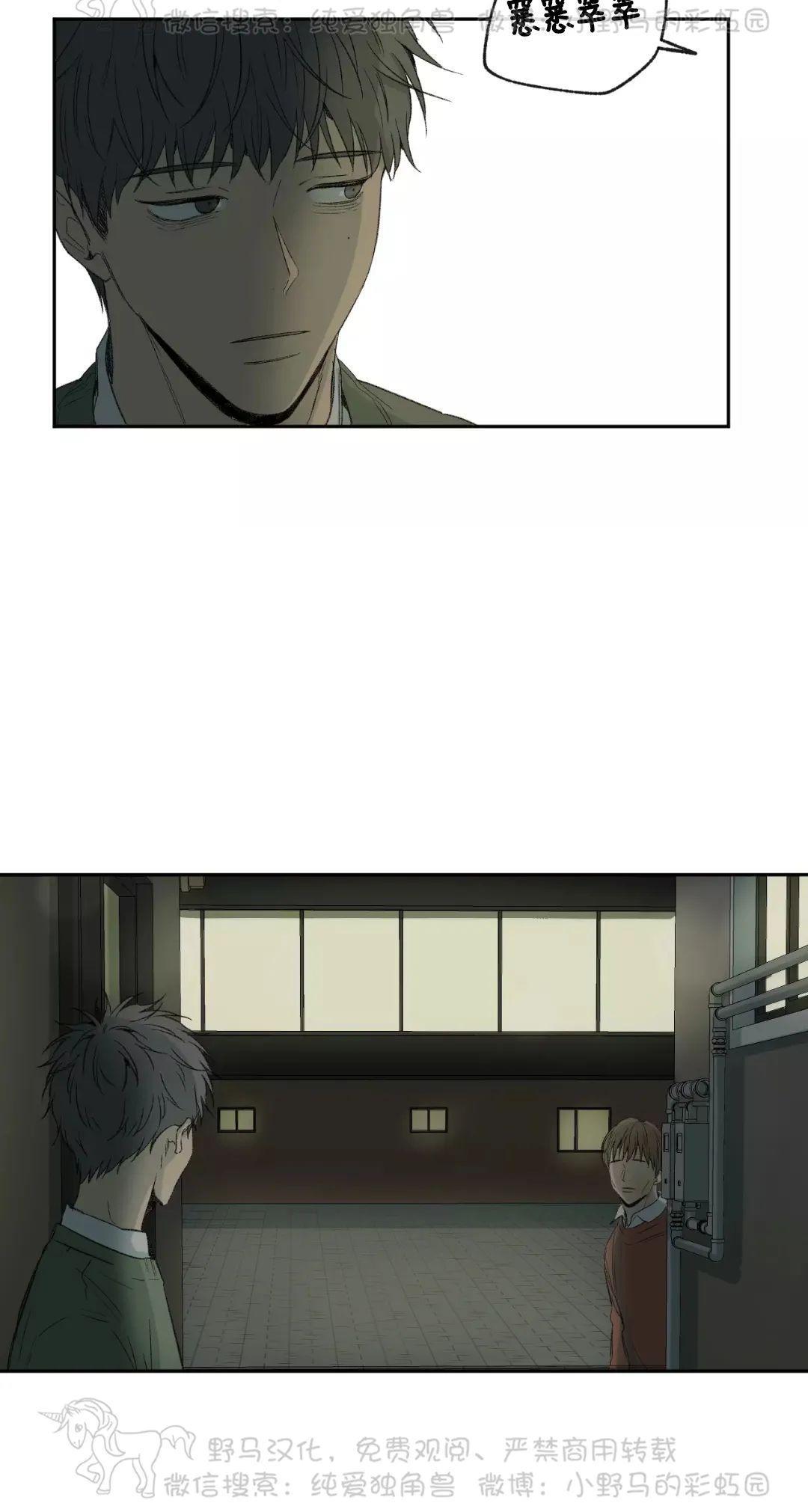 同情的形态[耽美]韩漫全集-第35话无删减无遮挡章节图片 