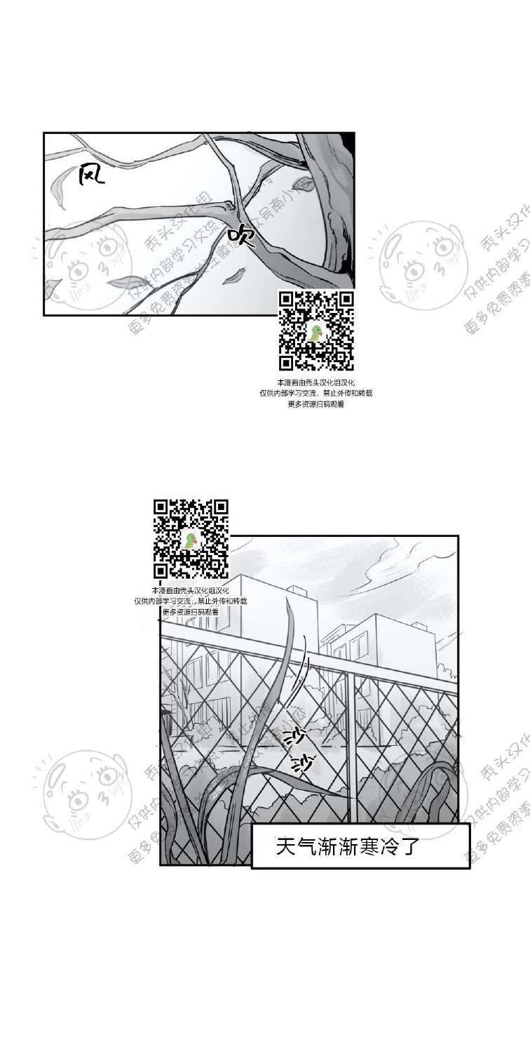 我的专属彗星/彗星向我来[耽美]韩漫全集-第4话无删减无遮挡章节图片 