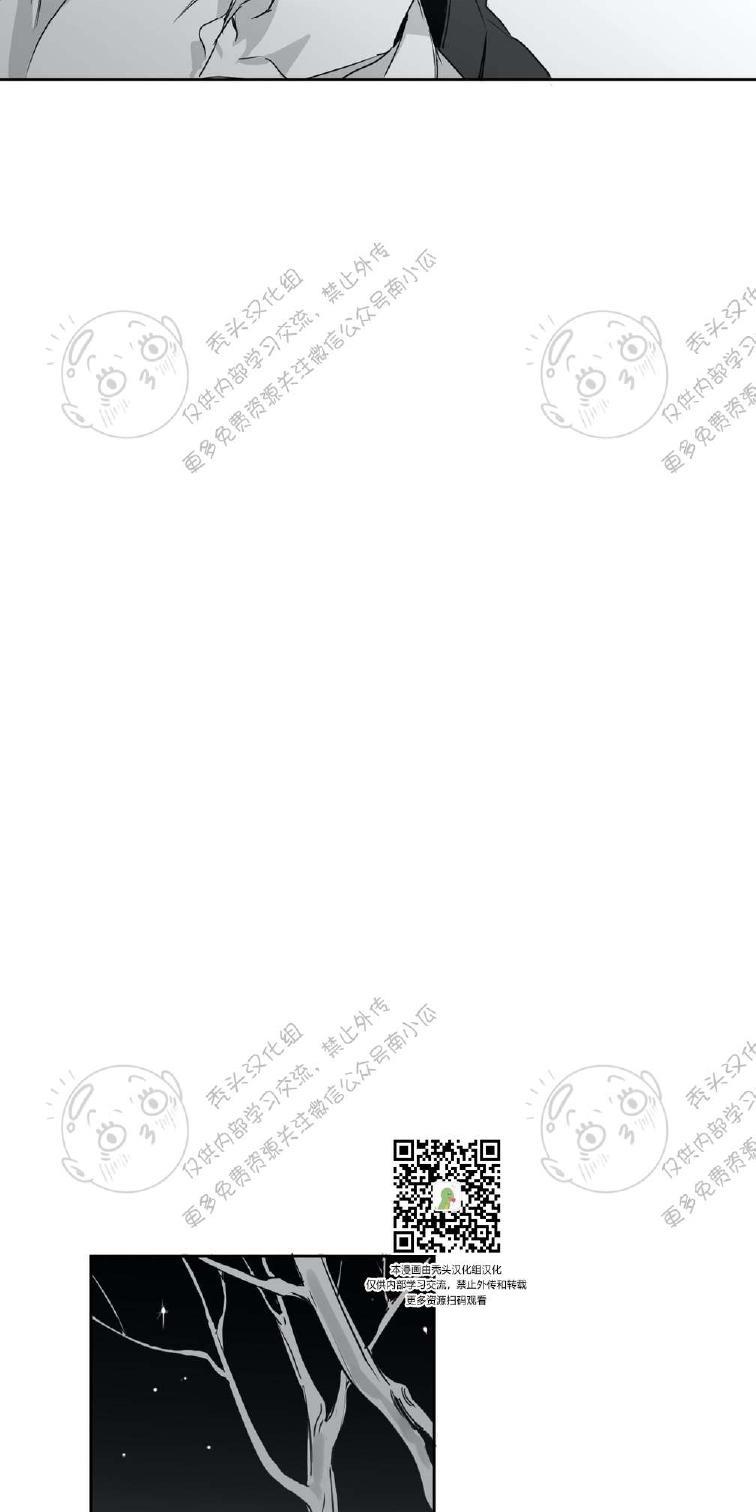 我的专属彗星/彗星向我来[耽美]韩漫全集-第4话无删减无遮挡章节图片 