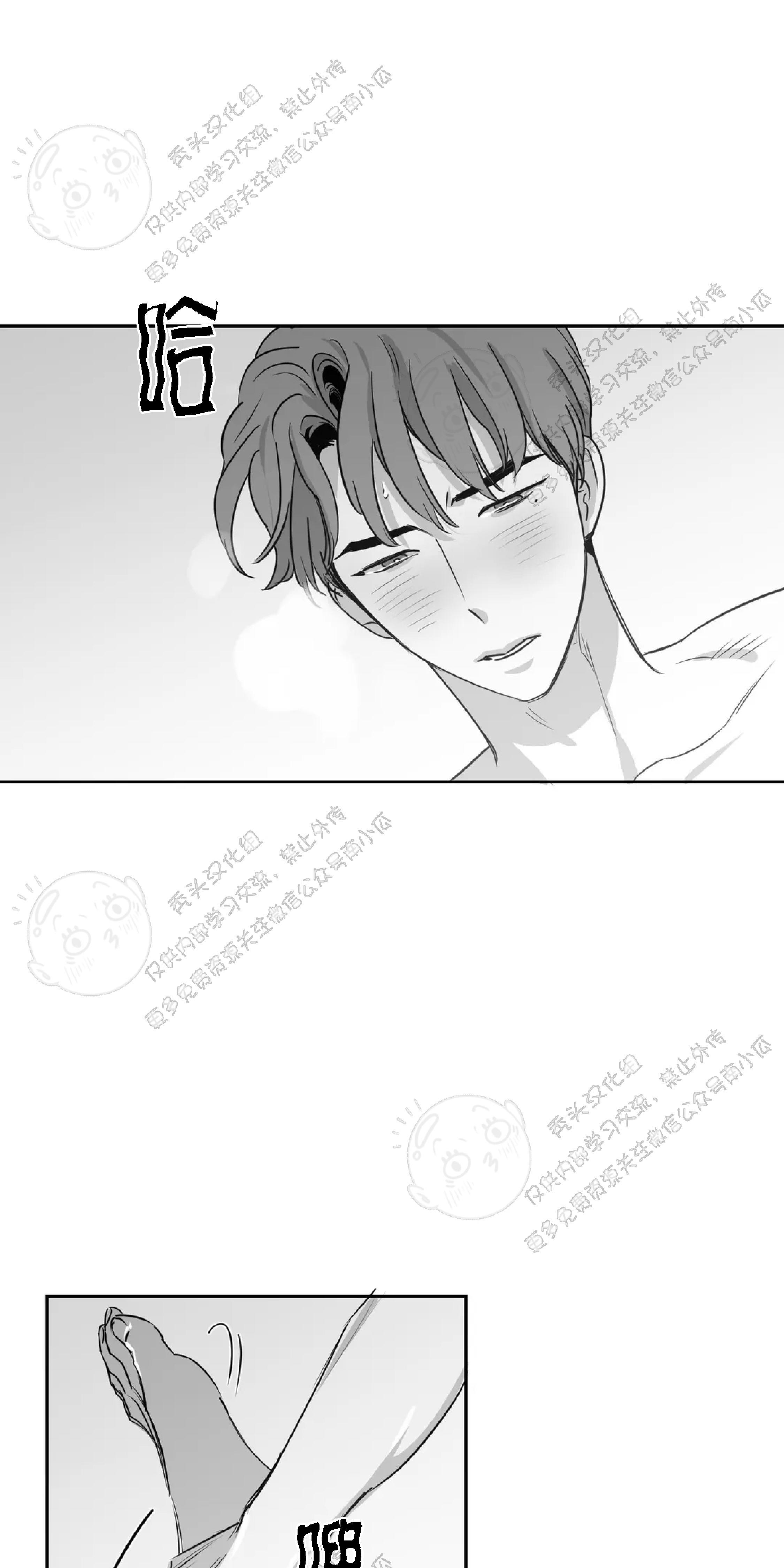 我的专属彗星/彗星向我来[耽美]韩漫全集-第13话无删减无遮挡章节图片 