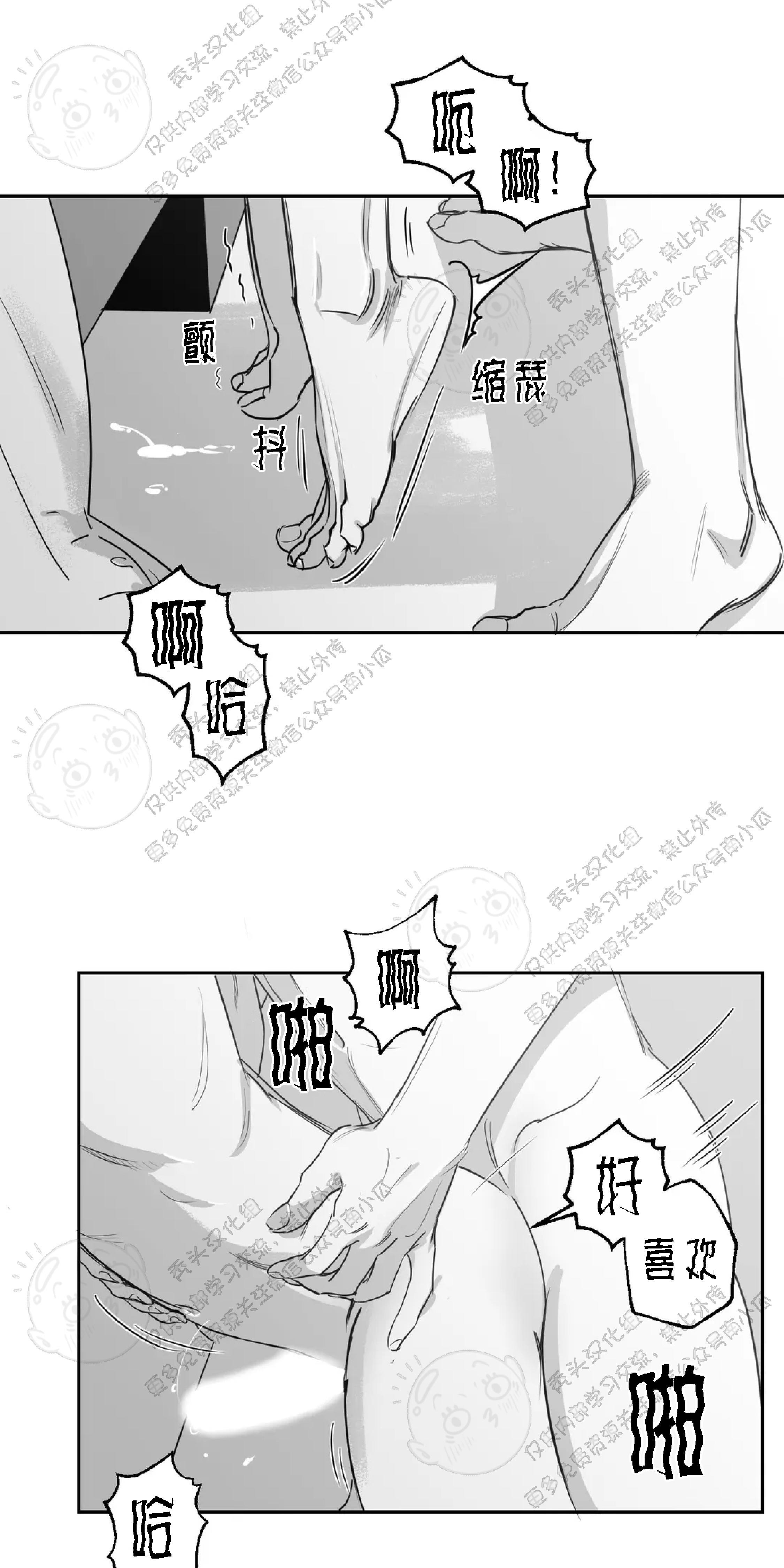 我的专属彗星/彗星向我来[耽美]韩漫全集-第13话无删减无遮挡章节图片 