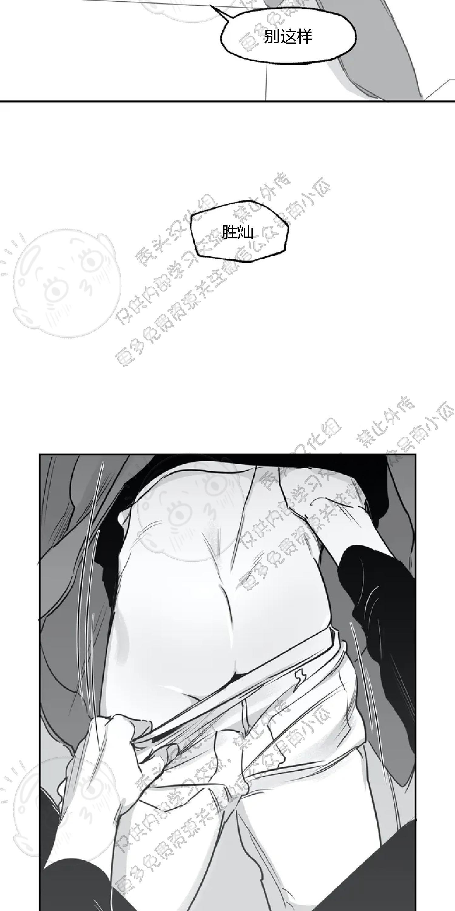 我的专属彗星/彗星向我来[耽美]韩漫全集-第17话无删减无遮挡章节图片 
