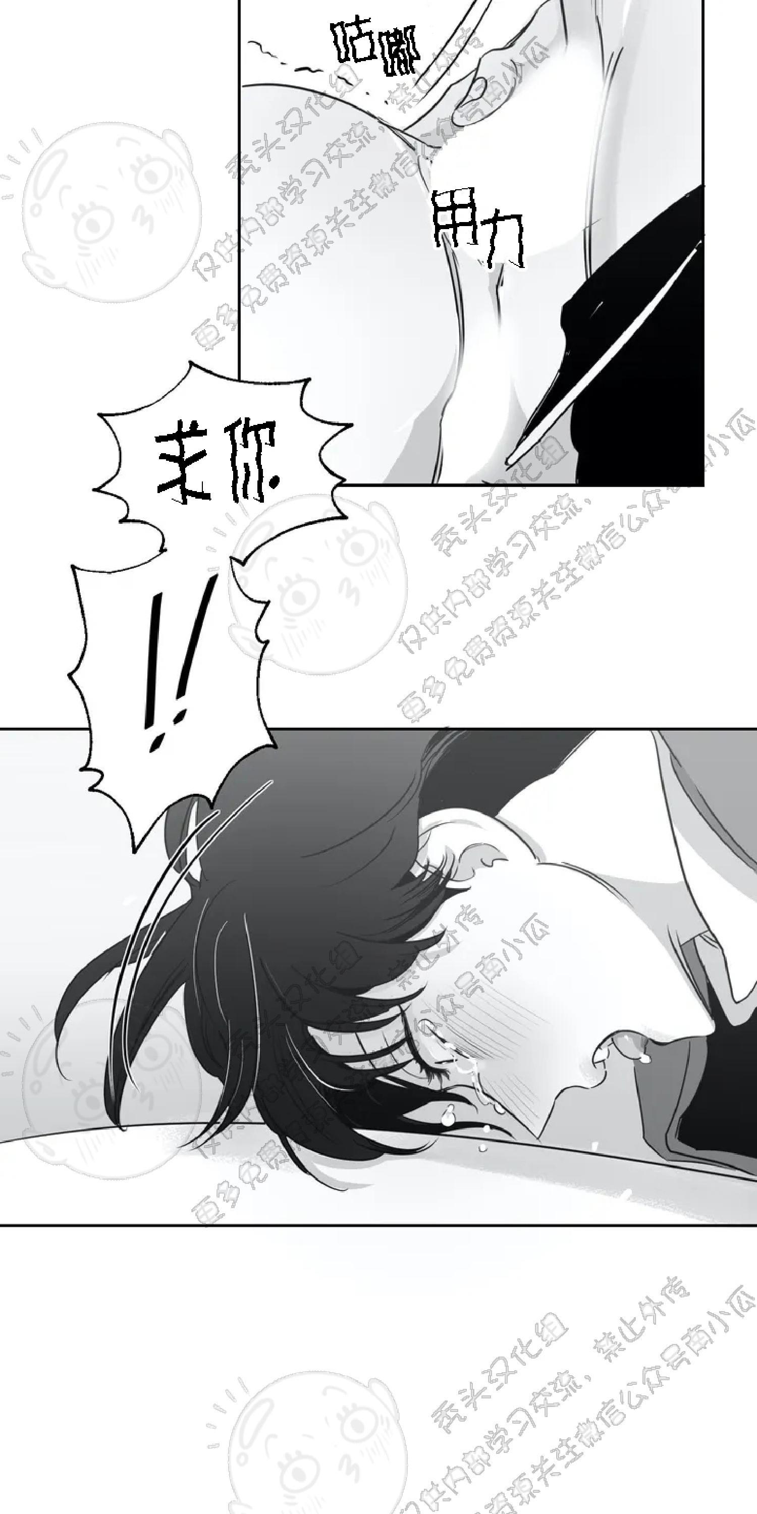 我的专属彗星/彗星向我来[耽美]韩漫全集-第17话无删减无遮挡章节图片 