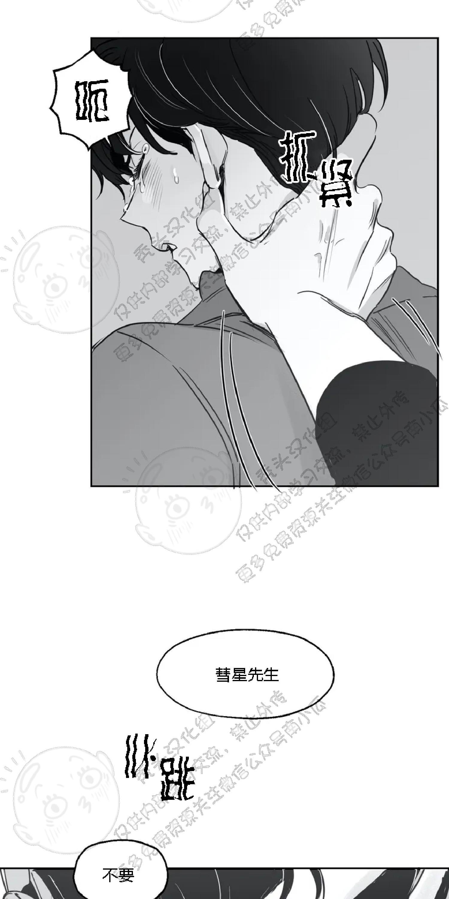 我的专属彗星/彗星向我来[耽美]韩漫全集-第17话无删减无遮挡章节图片 