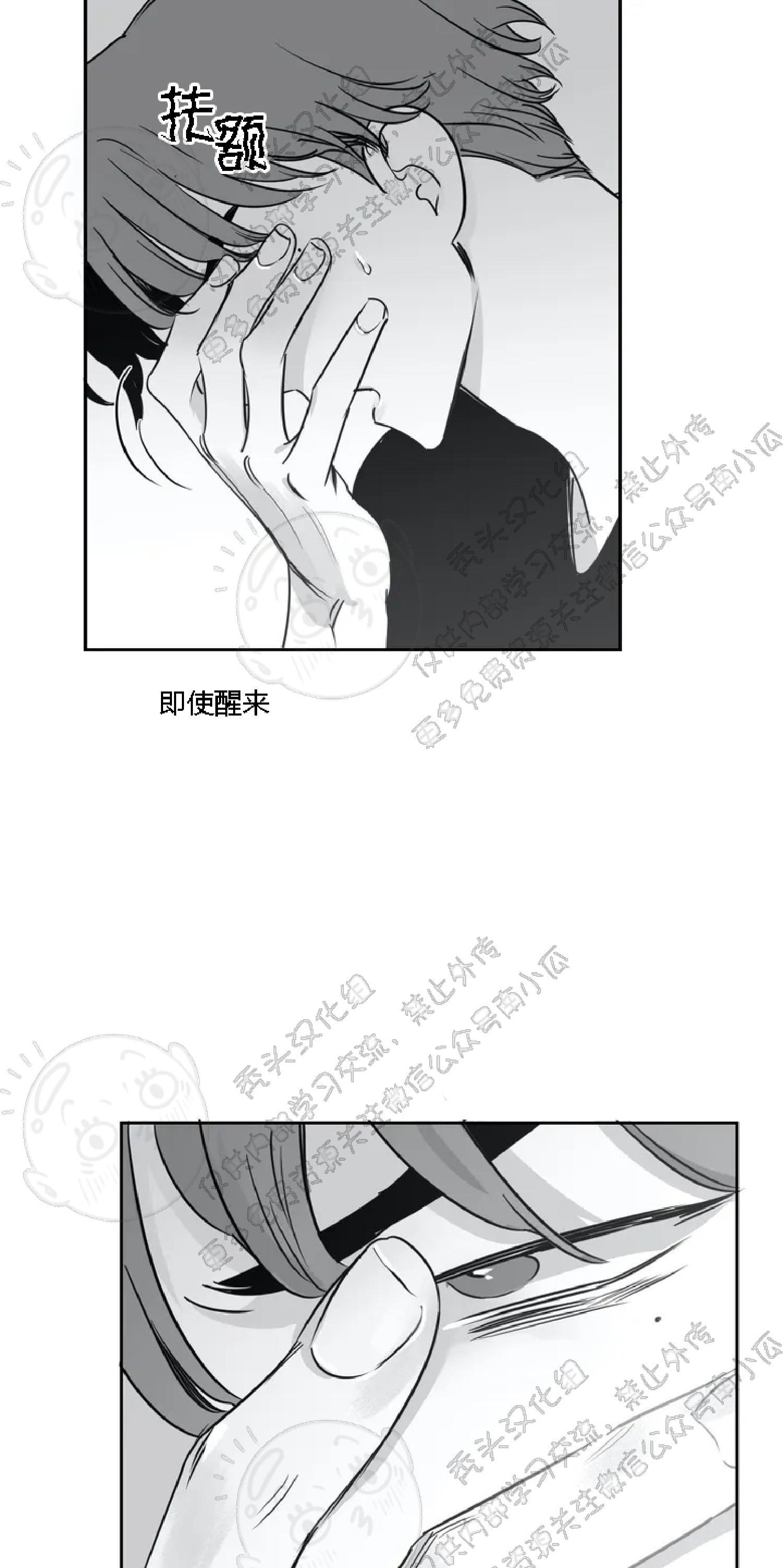 我的专属彗星/彗星向我来[耽美]韩漫全集-第17话无删减无遮挡章节图片 