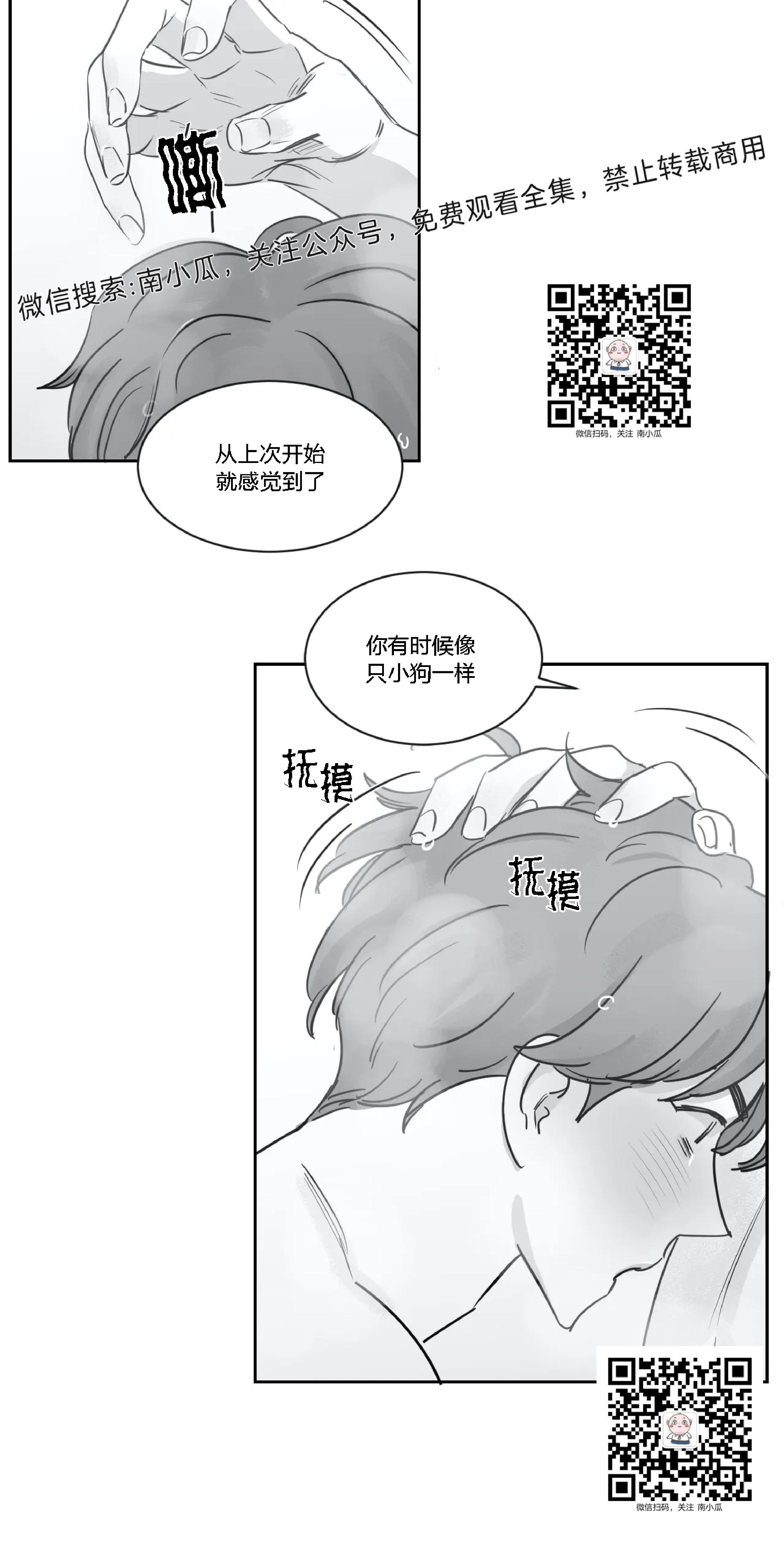 我的专属彗星/彗星向我来[耽美]韩漫全集-第21话无删减无遮挡章节图片 