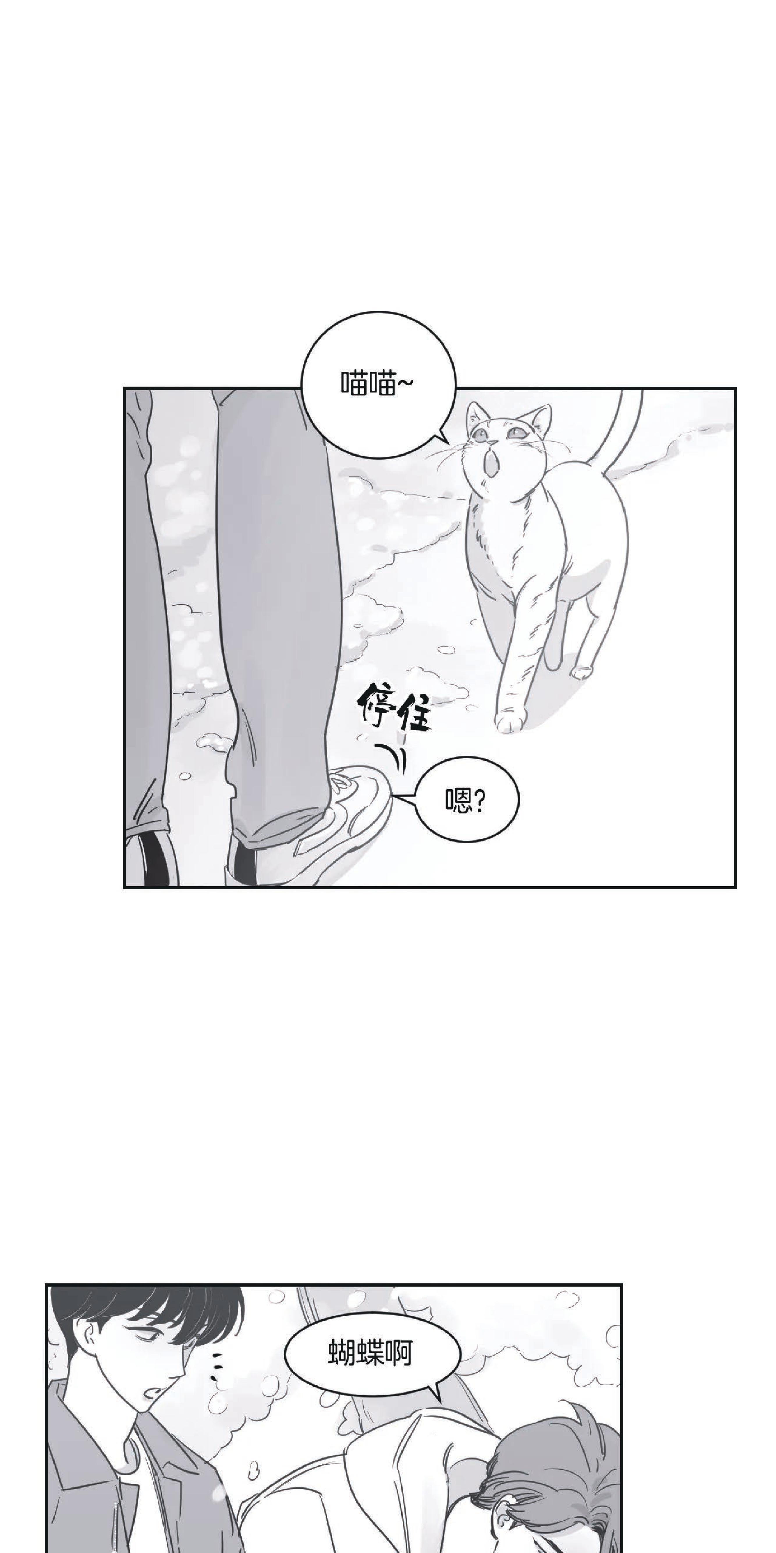 我的专属彗星/彗星向我来[耽美]韩漫全集-第22话无删减无遮挡章节图片 