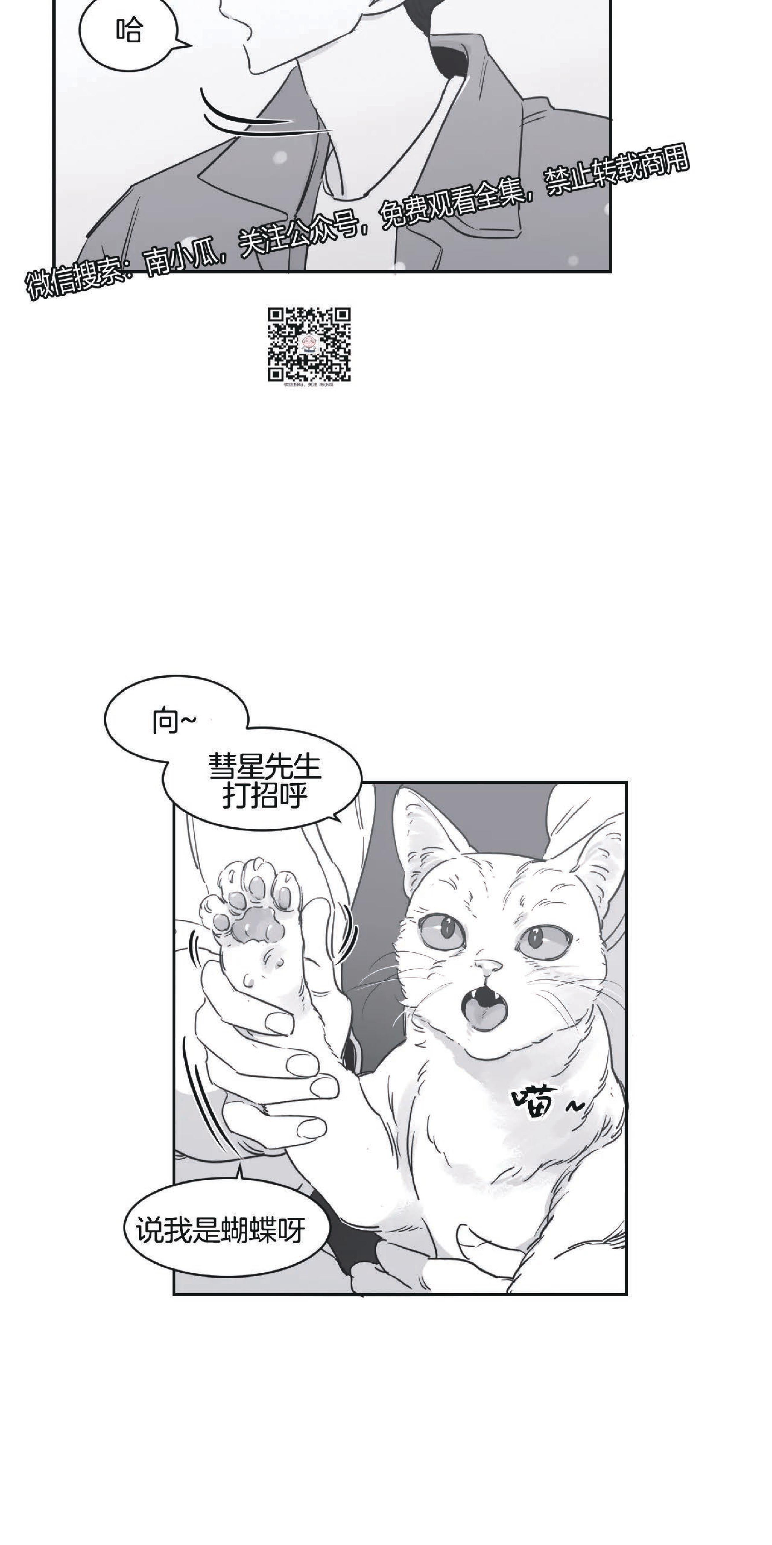 我的专属彗星/彗星向我来[耽美]韩漫全集-第22话无删减无遮挡章节图片 