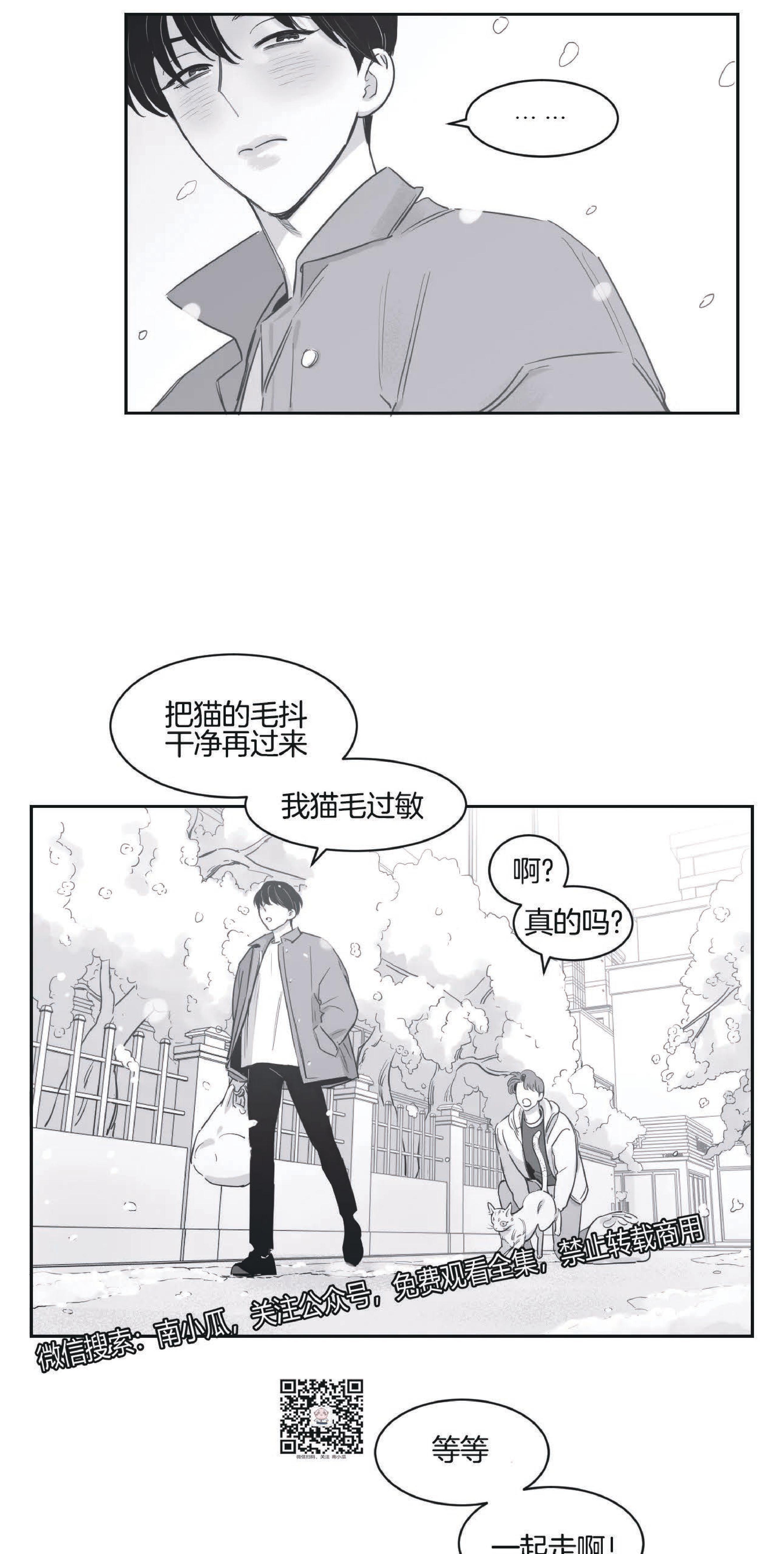 我的专属彗星/彗星向我来[耽美]韩漫全集-第22话无删减无遮挡章节图片 