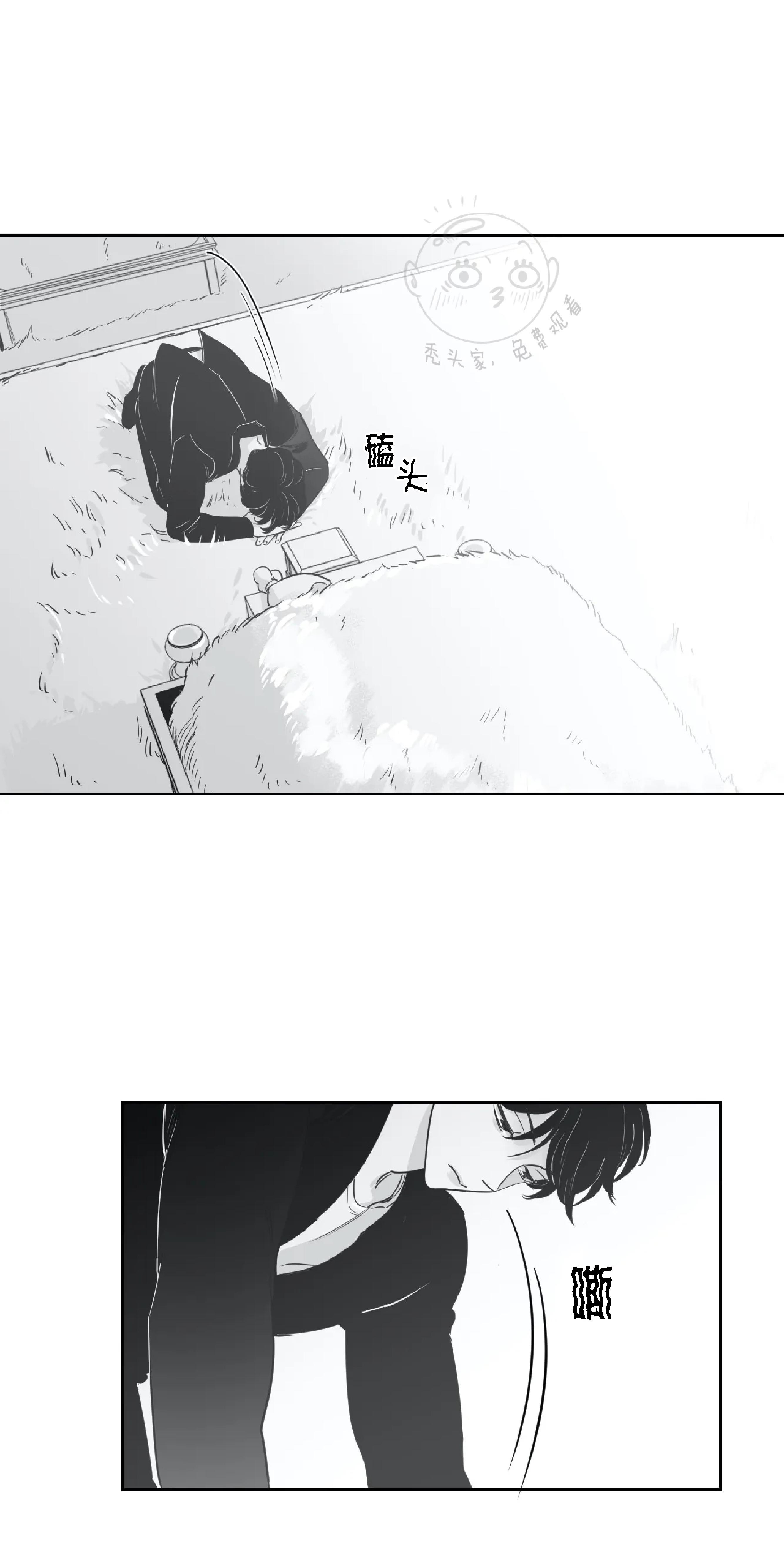 我的专属彗星/彗星向我来[耽美]韩漫全集-第23话无删减无遮挡章节图片 
