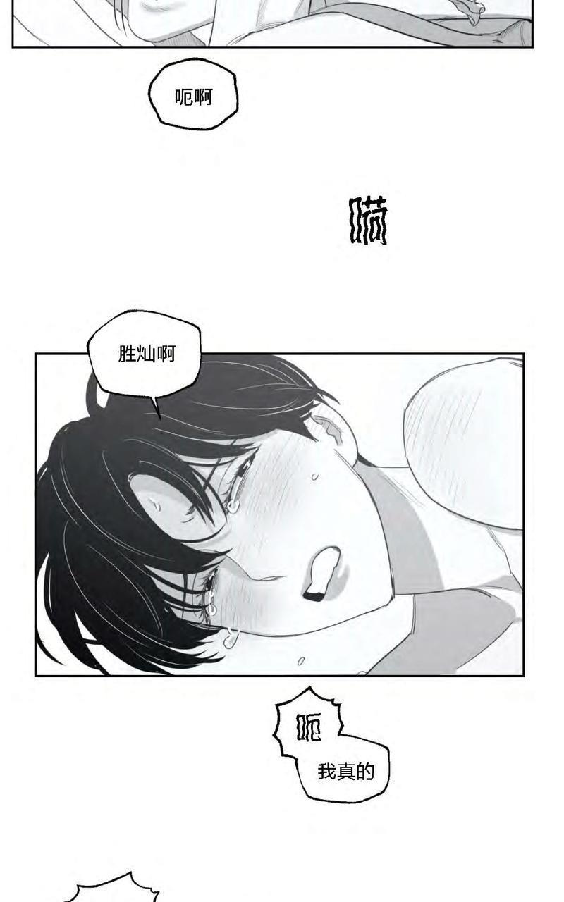 我的专属彗星/彗星向我来[耽美]韩漫全集-第29话无删减无遮挡章节图片 