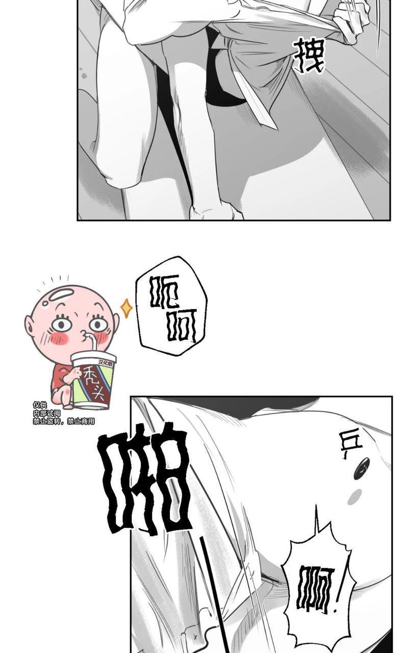 我的专属彗星/彗星向我来[耽美]韩漫全集-第32话无删减无遮挡章节图片 