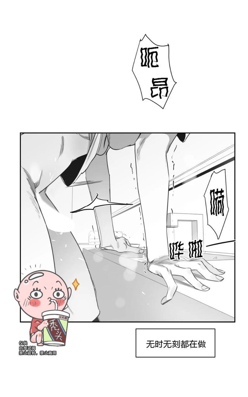 我的专属彗星/彗星向我来[耽美]韩漫全集-第33话无删减无遮挡章节图片 