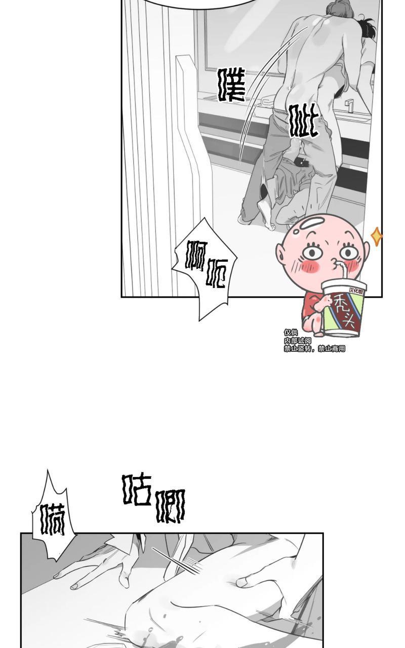 我的专属彗星/彗星向我来[耽美]韩漫全集-第33话无删减无遮挡章节图片 