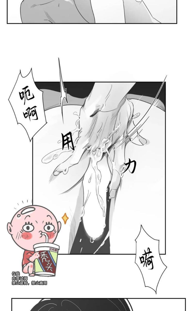 我的专属彗星/彗星向我来[耽美]韩漫全集-第37话无删减无遮挡章节图片 