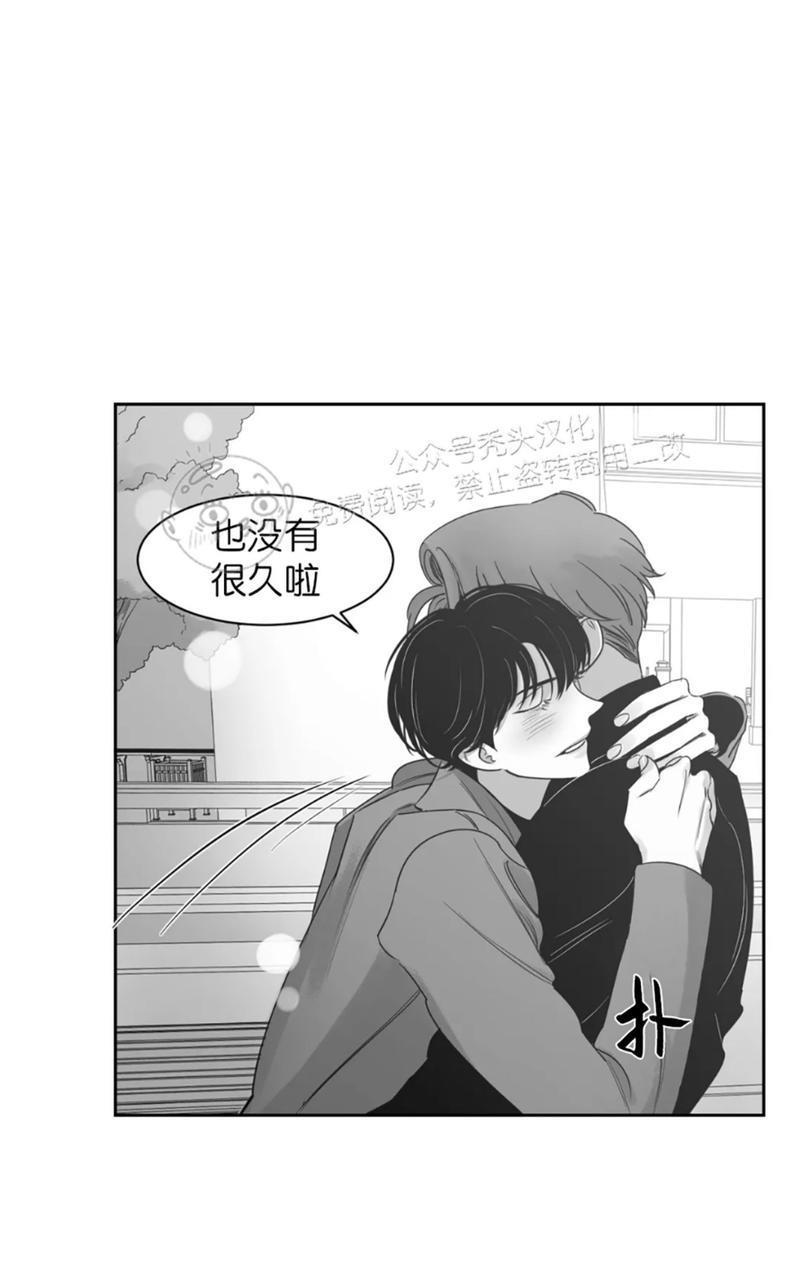 我的专属彗星/彗星向我来[耽美]韩漫全集-第39话无删减无遮挡章节图片 