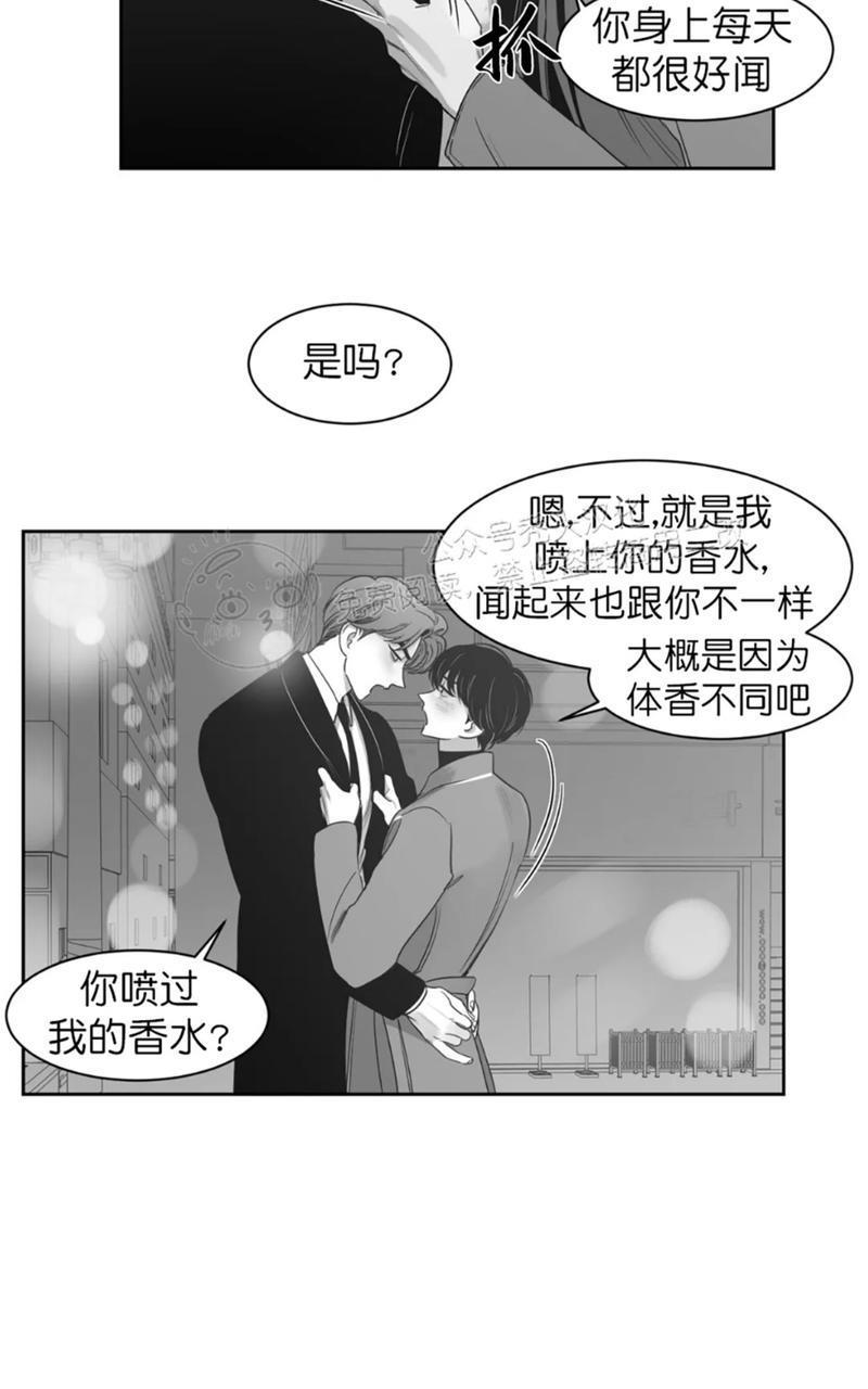 我的专属彗星/彗星向我来[耽美]韩漫全集-第39话无删减无遮挡章节图片 