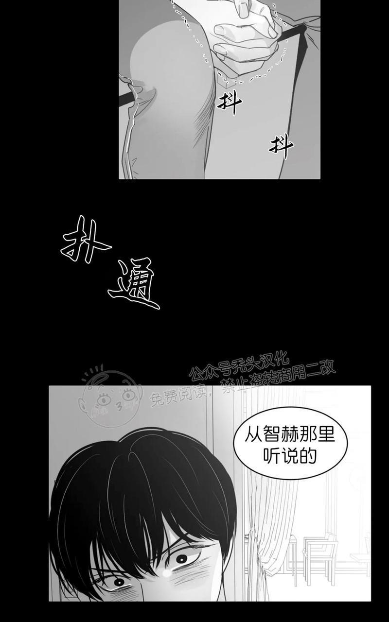 我的专属彗星/彗星向我来[耽美]韩漫全集-第40话无删减无遮挡章节图片 