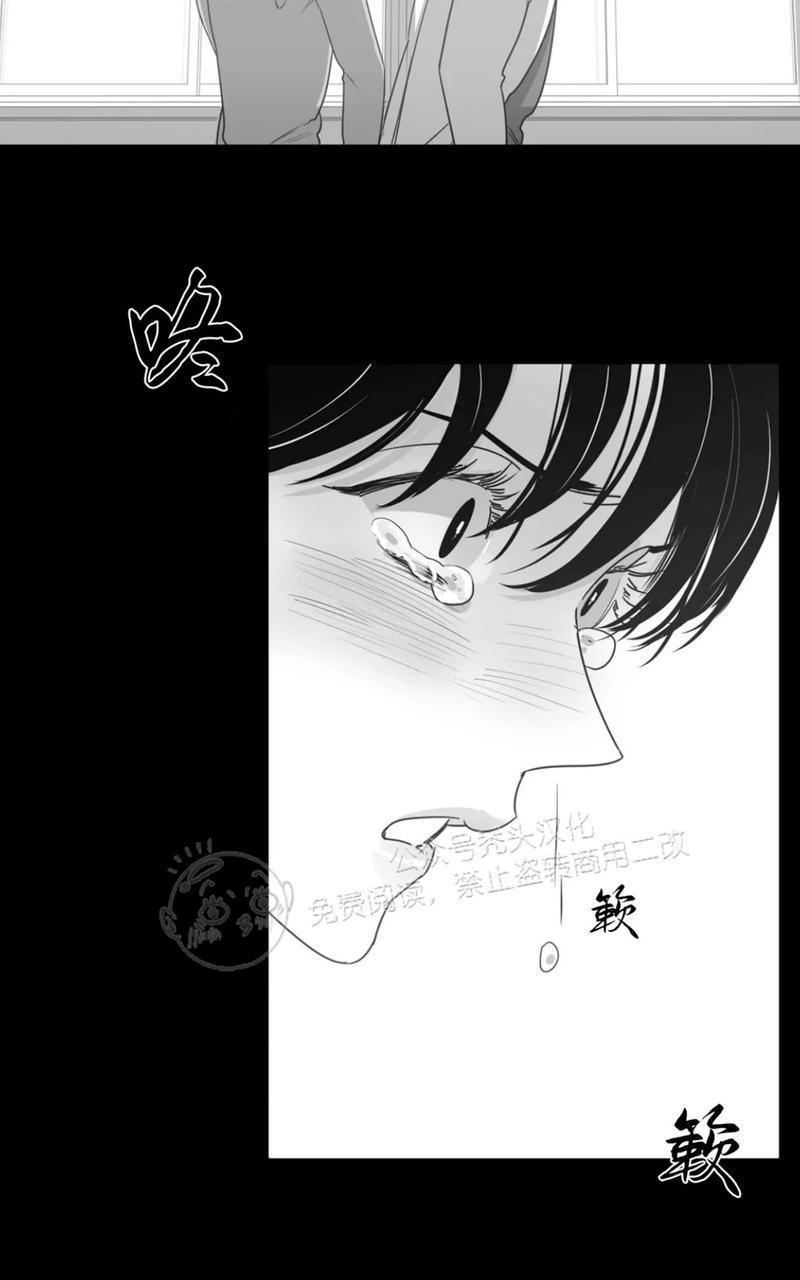 我的专属彗星/彗星向我来[耽美]韩漫全集-第40话无删减无遮挡章节图片 
