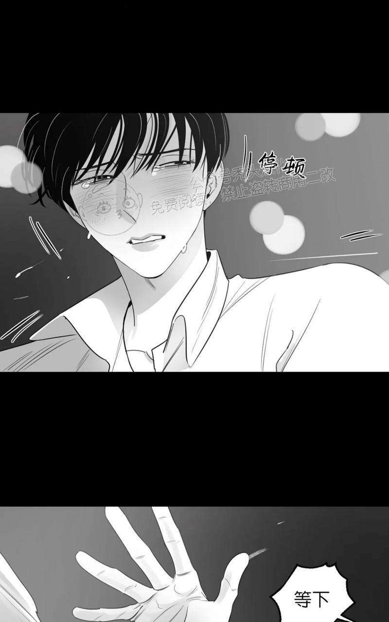 我的专属彗星/彗星向我来[耽美]韩漫全集-第40话无删减无遮挡章节图片 
