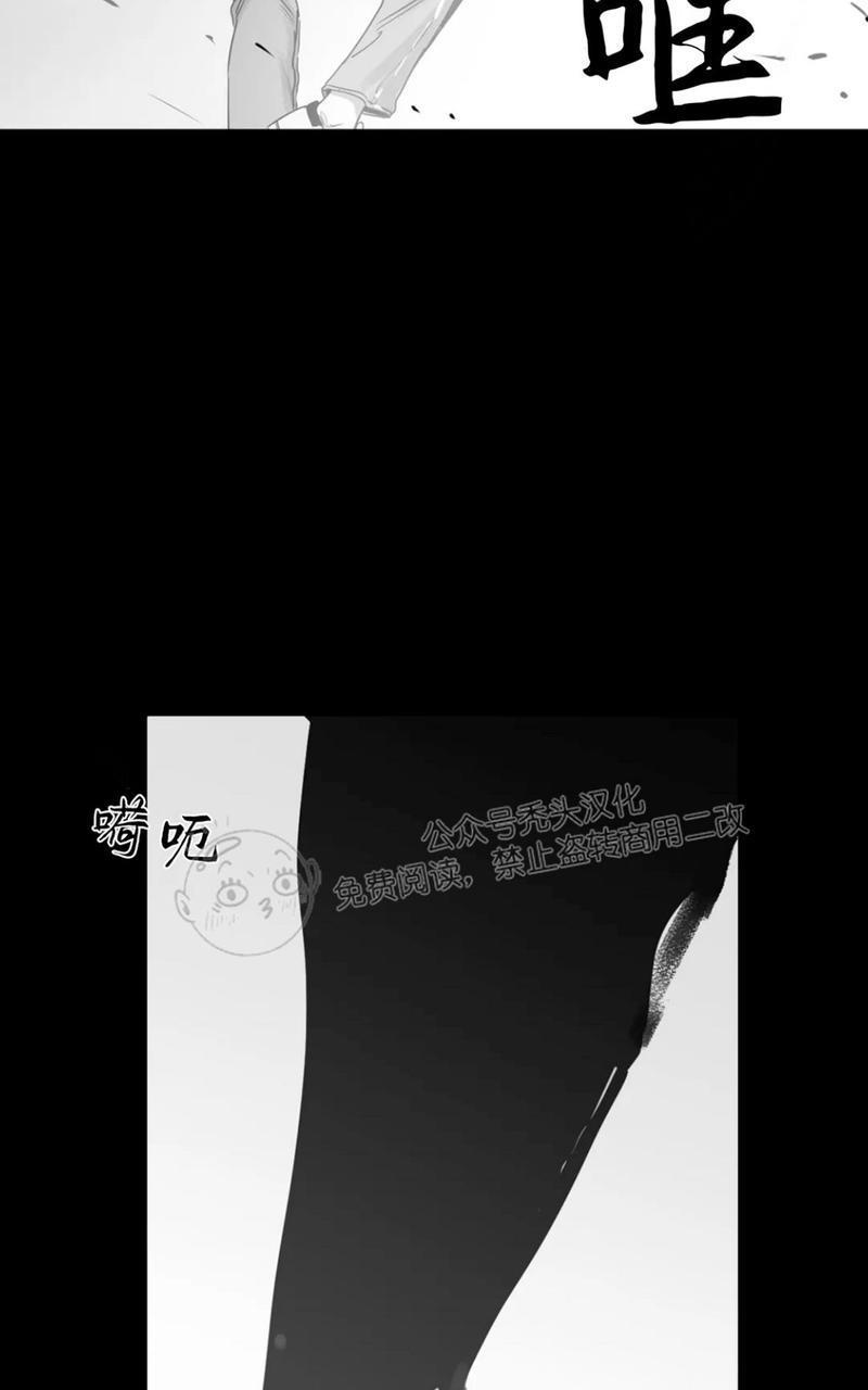 我的专属彗星/彗星向我来[耽美]韩漫全集-第40话无删减无遮挡章节图片 