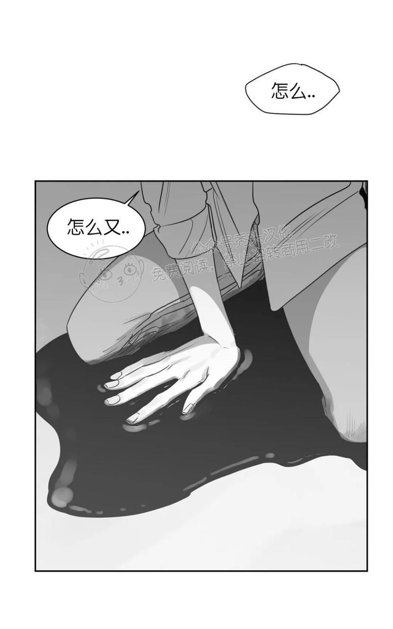 我的专属彗星/彗星向我来[耽美]韩漫全集-第40话无删减无遮挡章节图片 